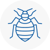 Bed Bug Extermination In Bramhall